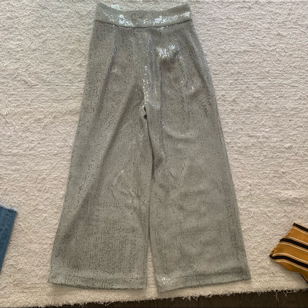 Zara Disco Pants